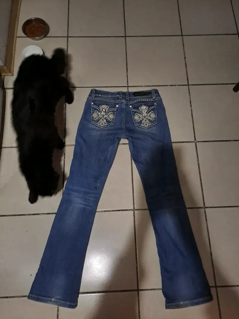 Jeans la idol usa - 1