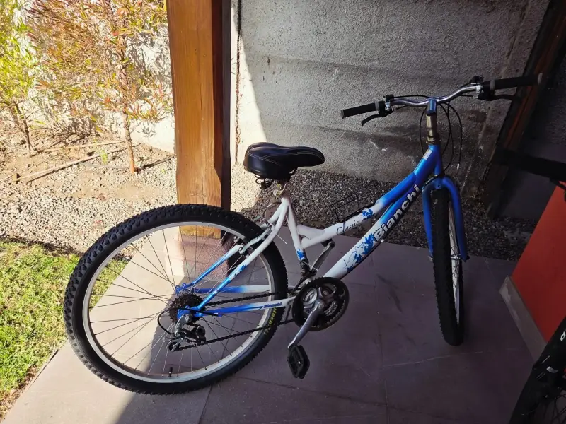 Bicicleta Bianchi azul y blanca
