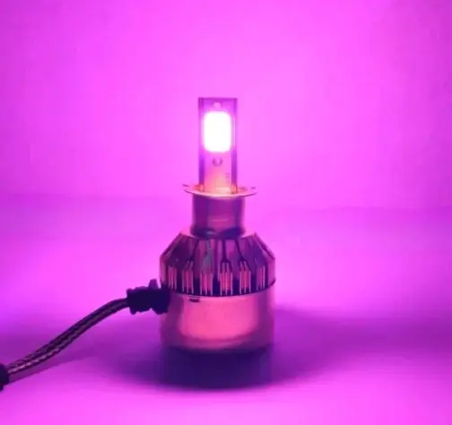 Luces LED  Rosadas - 2
