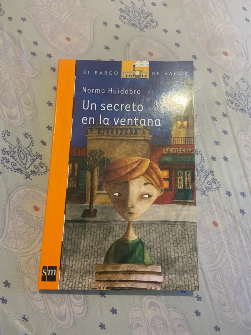 Libro Un secreto en la ventana
