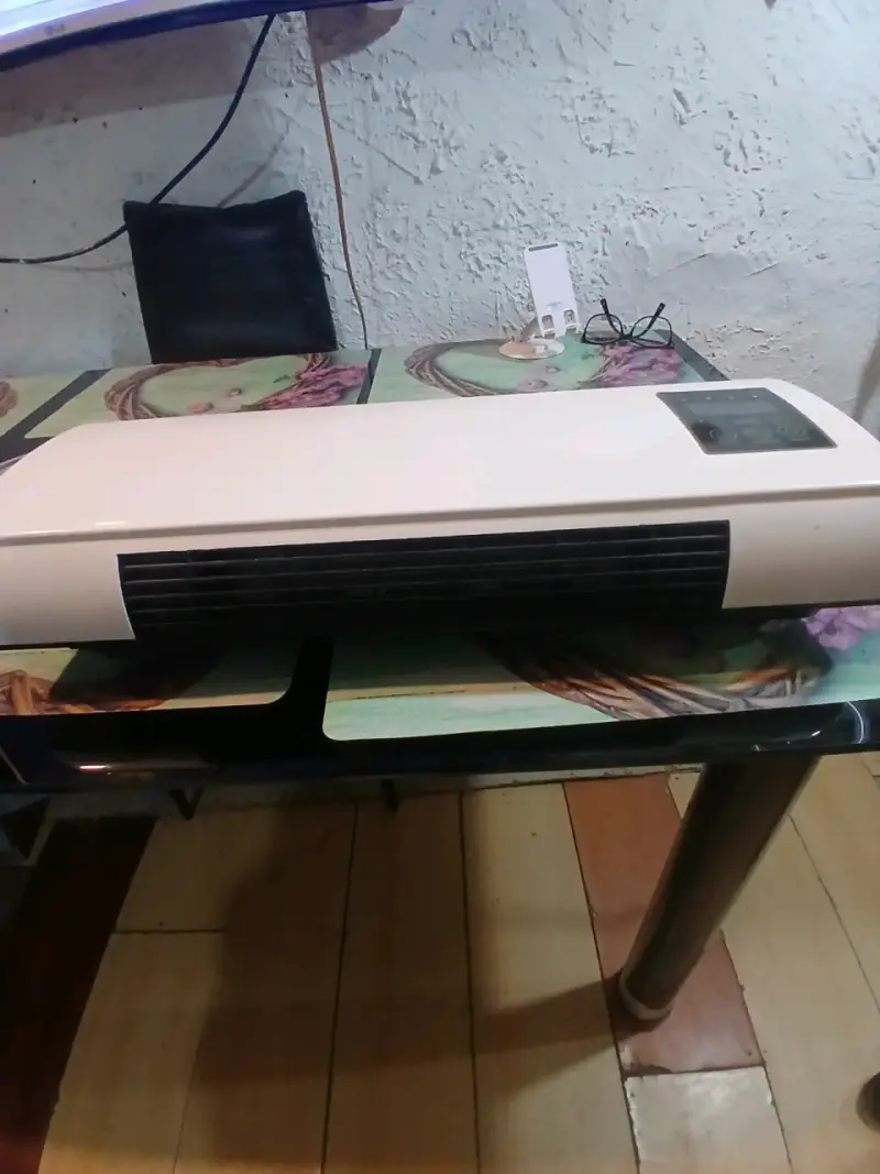 Extractor de jugo Thomas negro - 4