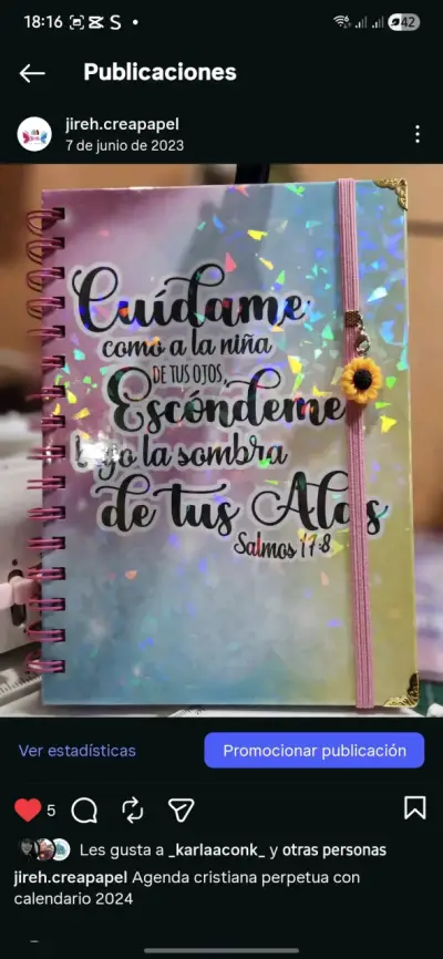 Agenda cristiana perpetua - miniatura 3