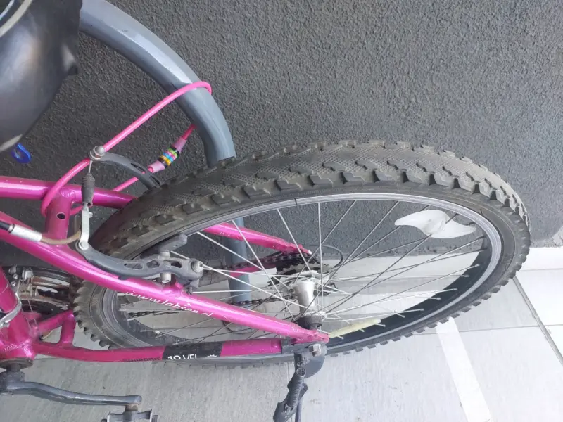 Bicicleta Lahsen color morado - 2