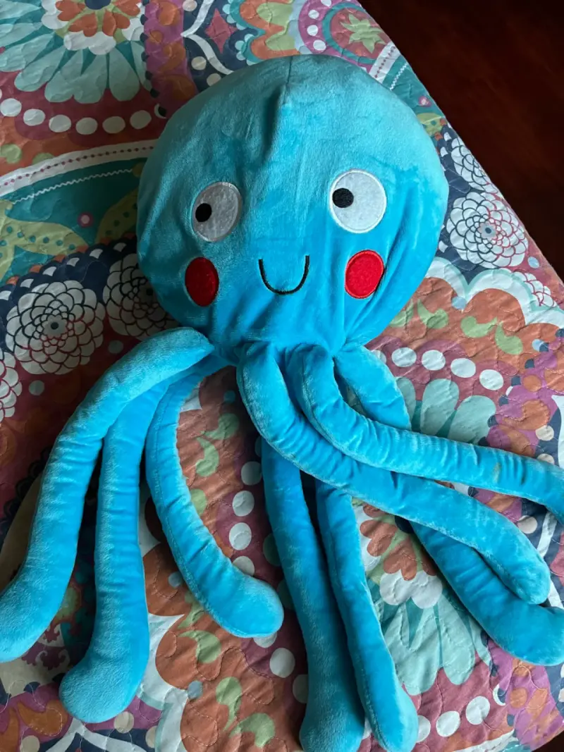 Peluche perezoso con manta - 2