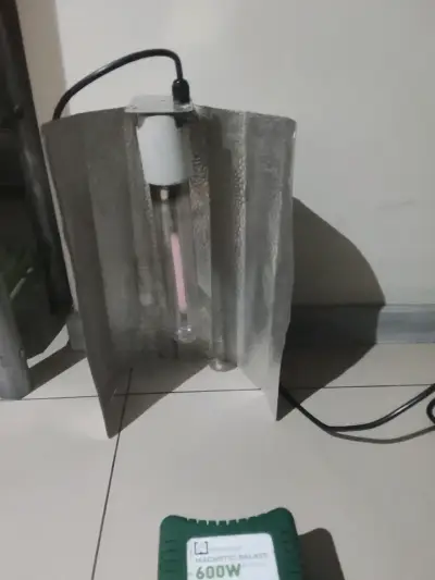 Lámpara decorativa de luz cálida - miniatura 3