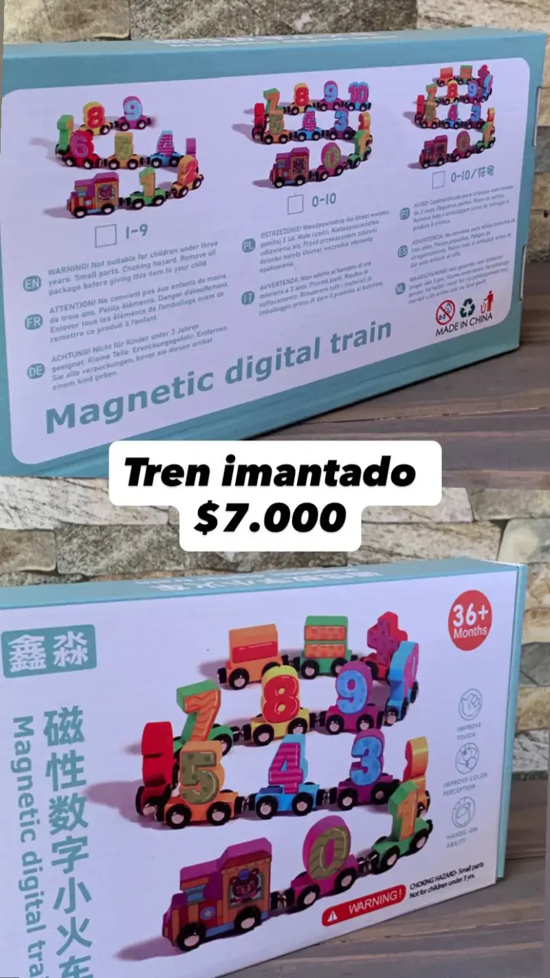 Tren magnético educativo