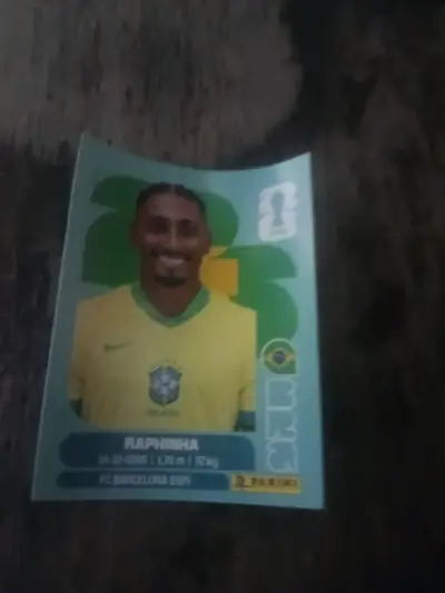 Álbumes de figuritas de fútbol - miniatura 3