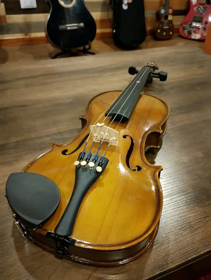 Violín acústico clásico - 1