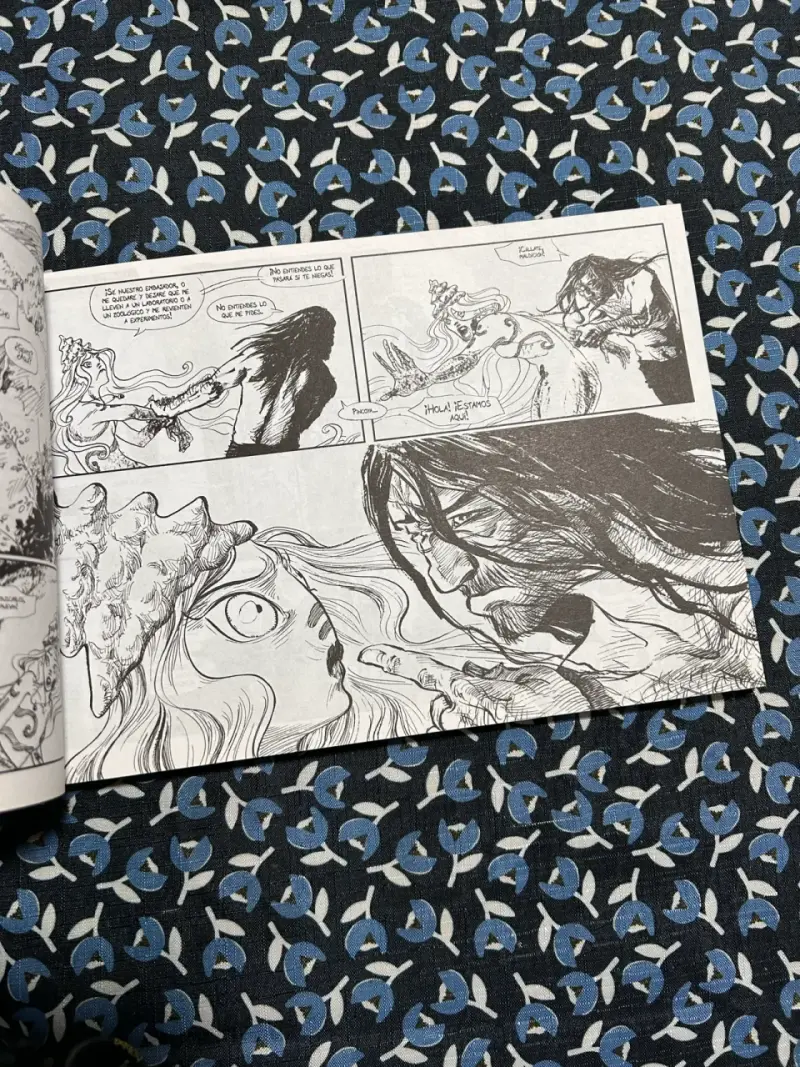 Cómic Miguel de Fuentesanta - 2