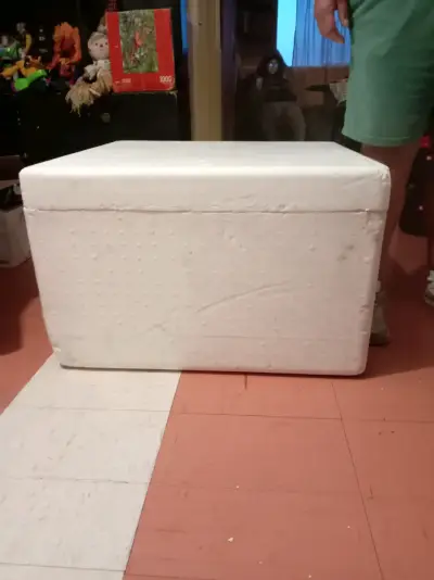 Caja de plumavit grande - miniatura 1