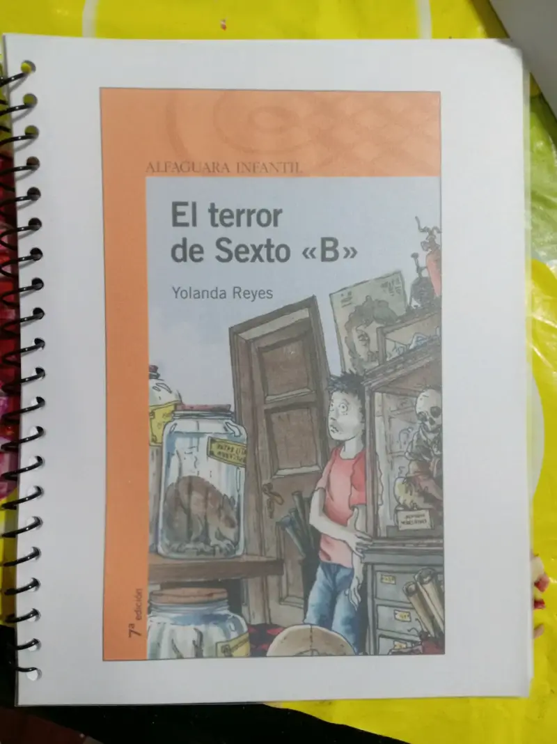El terror de Sexto B - libro