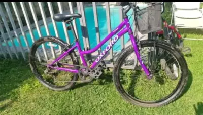 Bicicleta Oxford morada modelo Luna - miniatura 1