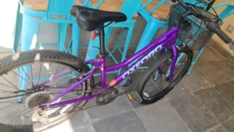 Bicicleta Oxford morada modelo Luna - 2