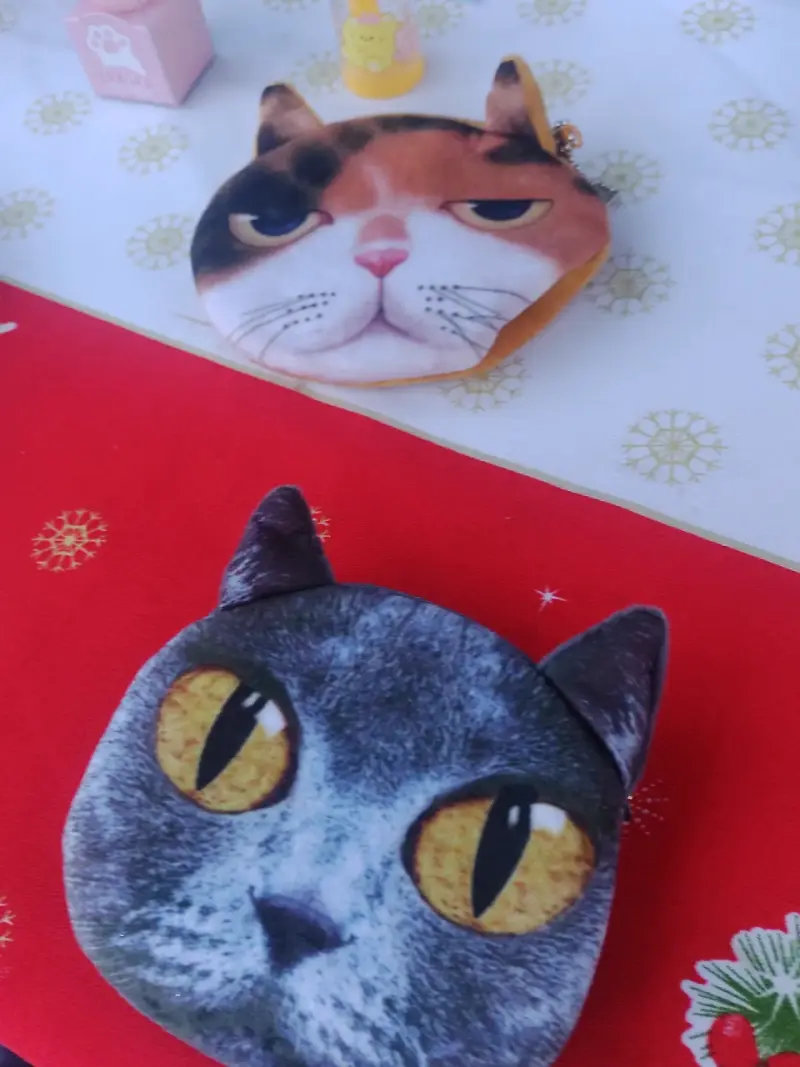 Lápices, chauchera de gatos,lentes de celular - 2