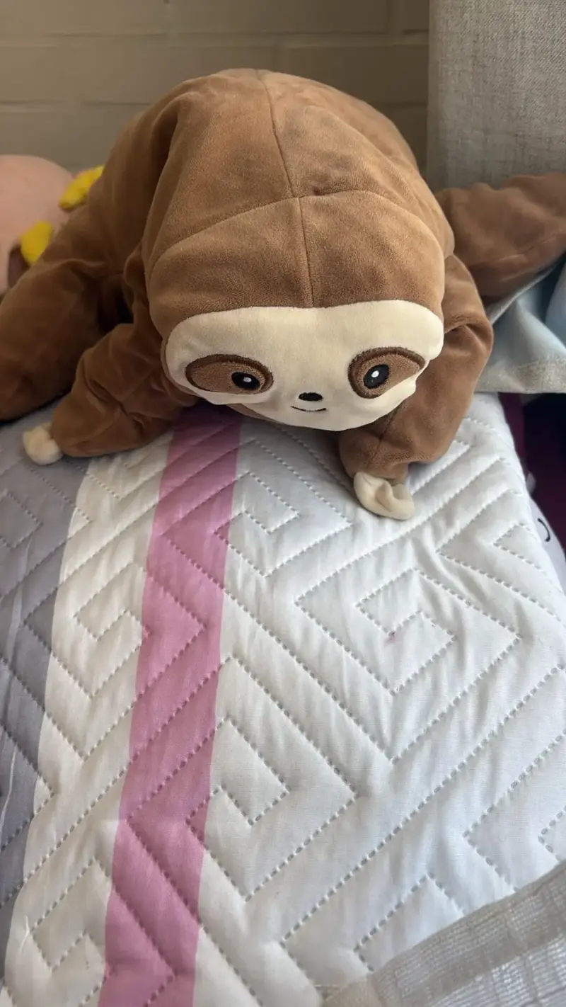 Lote de 6 peluches miniso - 5
