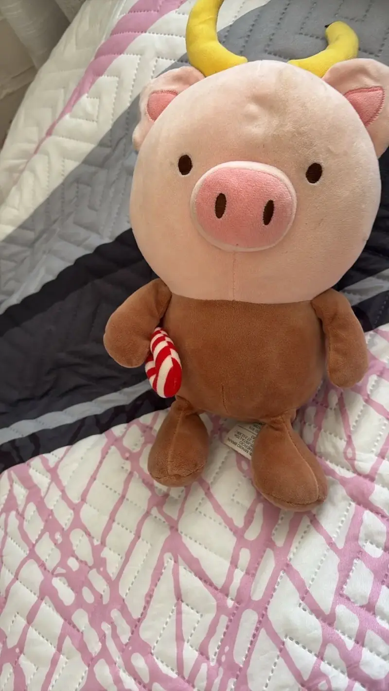 Lote de 6 peluches miniso - 6