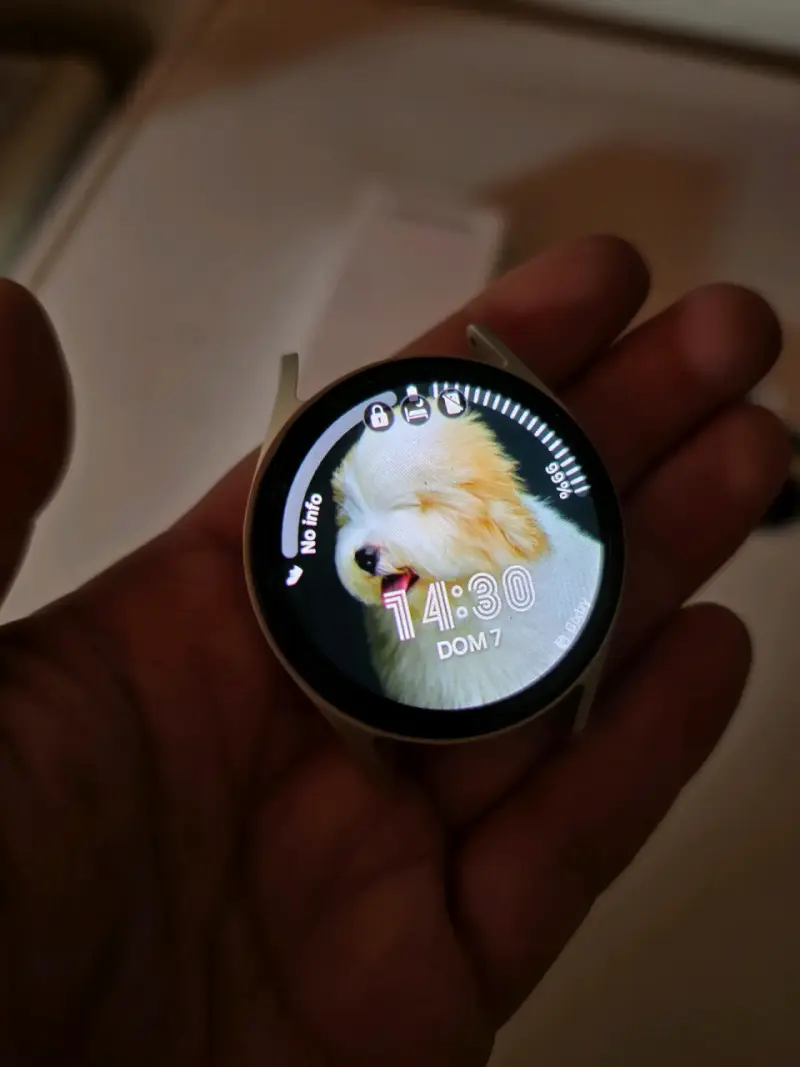 Samsung Galaxy Watch7 con correas - 2