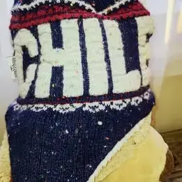 Gorro Invierno Robin Ruth Diseño "Chile". - 1