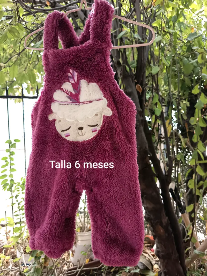 jardinera limonada morada