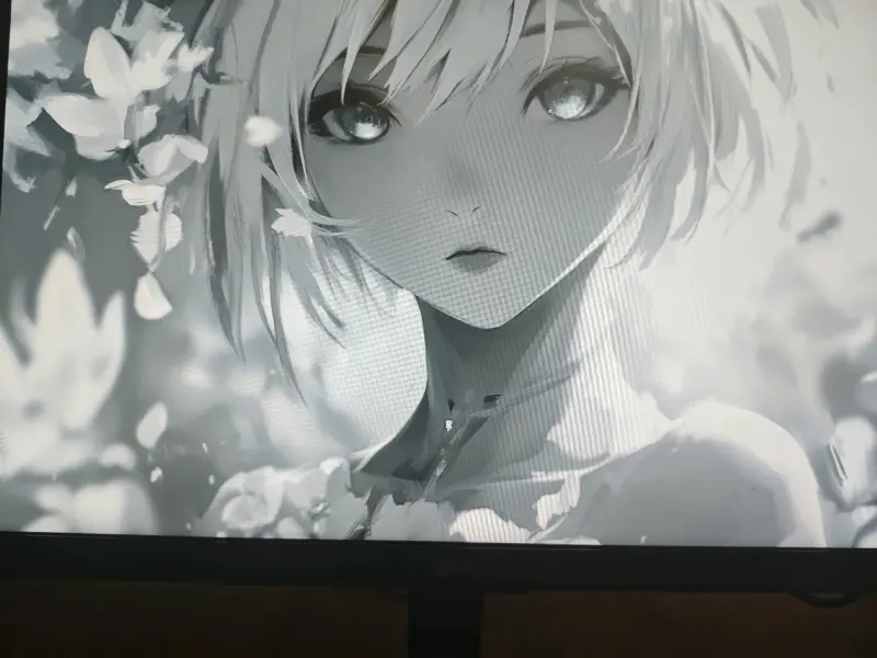 Monitor LG ultrawide 29 pulgadas - 4