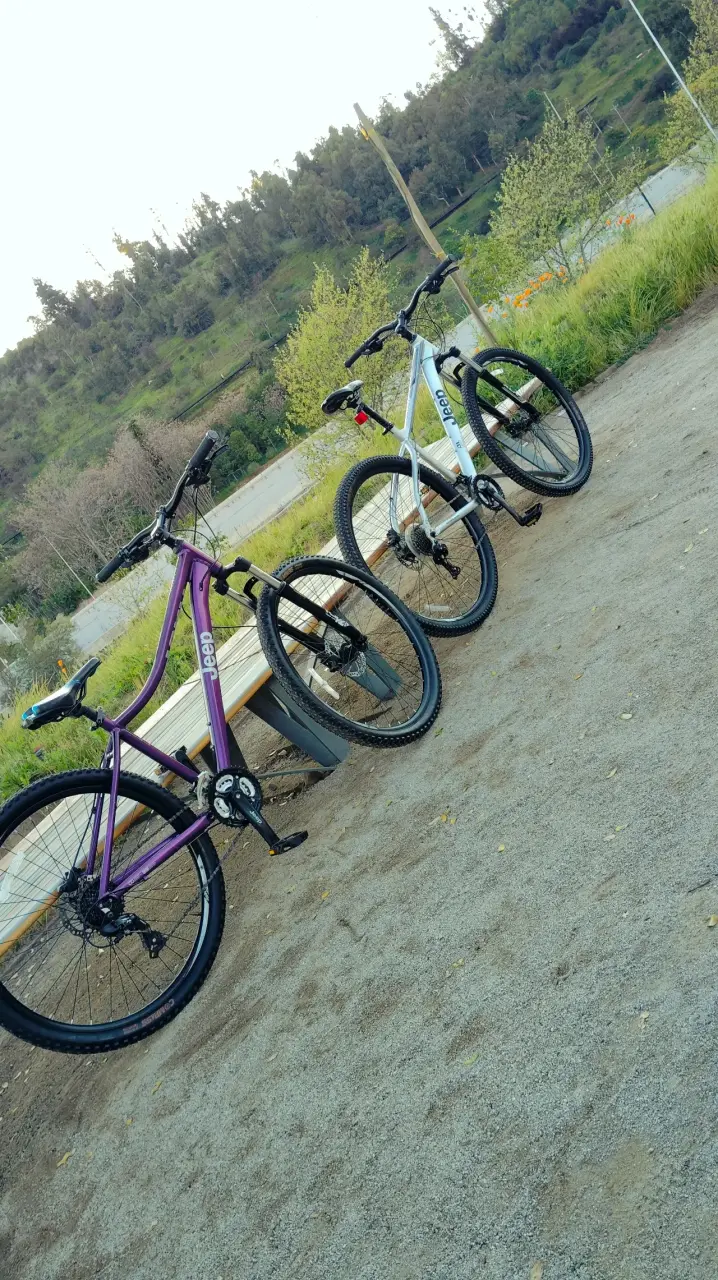 Bicicleta montaña plata Jeep - 2