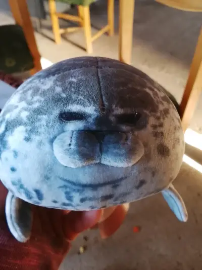 Peluche de foca guatona - miniatura 1