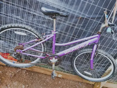 Bicicleta Brabus morada - miniatura 1