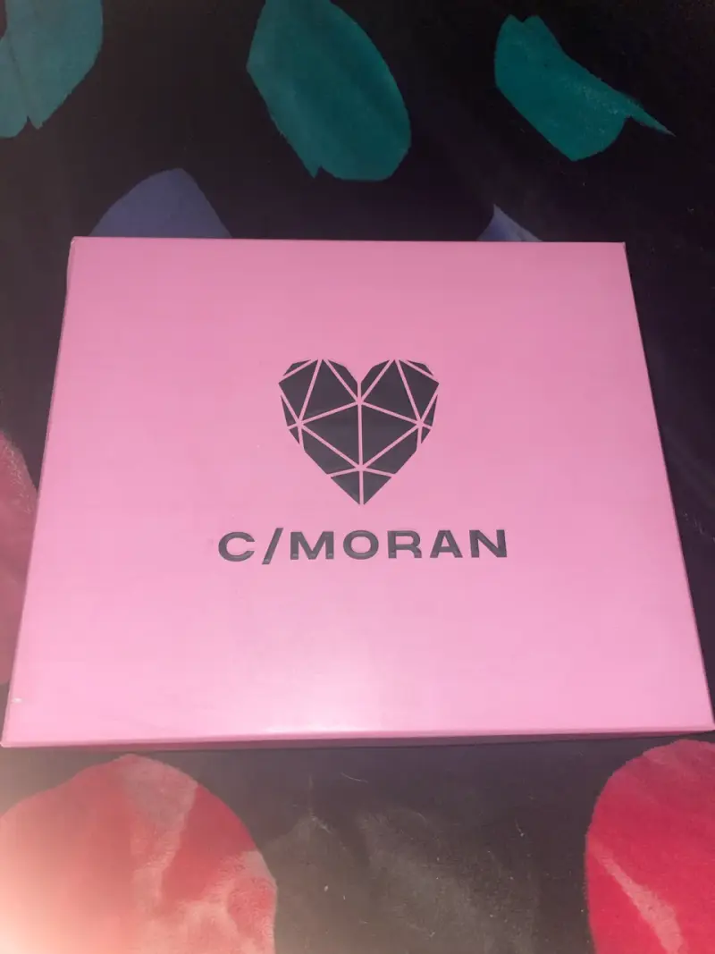 Zapatillas C/Moran tipo isabel marant 40 - 1