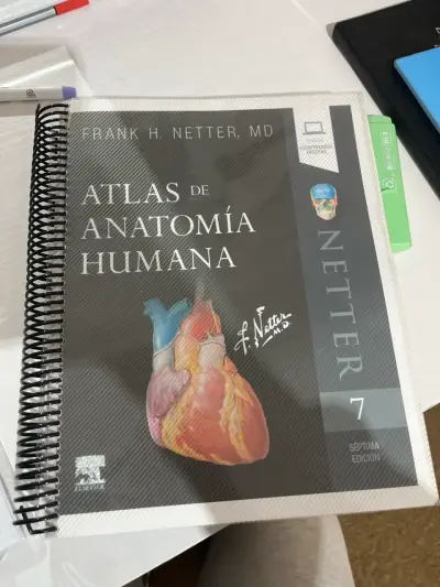Atlas de Anatomía Humana Netter - miniatura 1