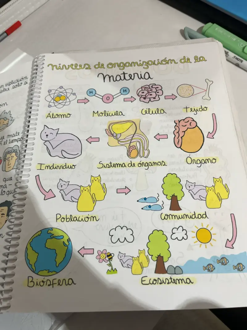 Cuaderno Mitocondrias Felices - 2