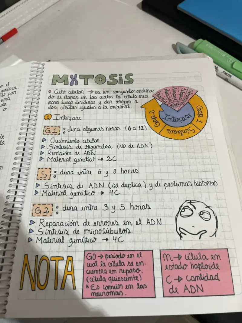 Cuaderno Mitocondrias Felices - 3