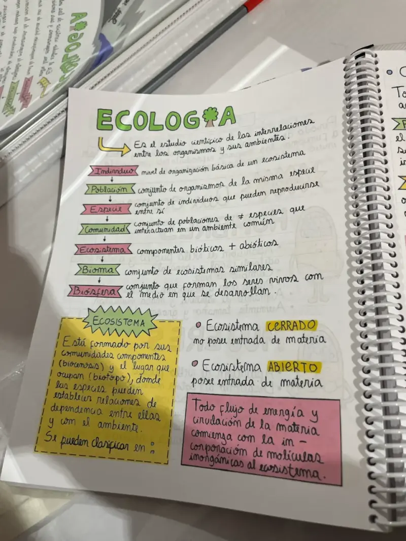 Cuaderno Mitocondrias Felices - 4