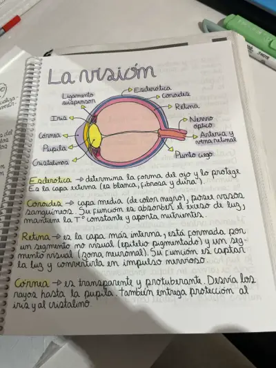 Cuaderno Mitocondrias Felices - miniatura 5