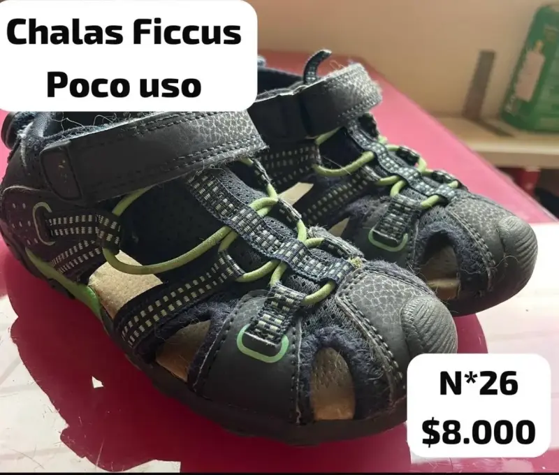 Chalas Ficus poco uso