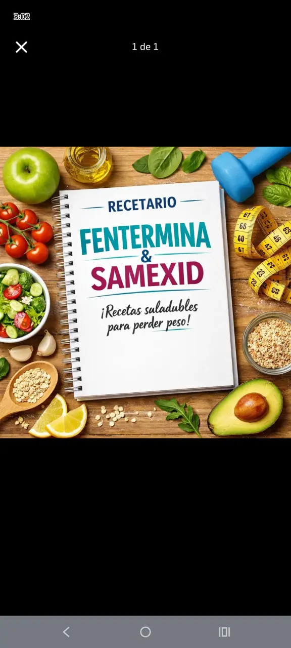 Recetario FenTermina & Samexid