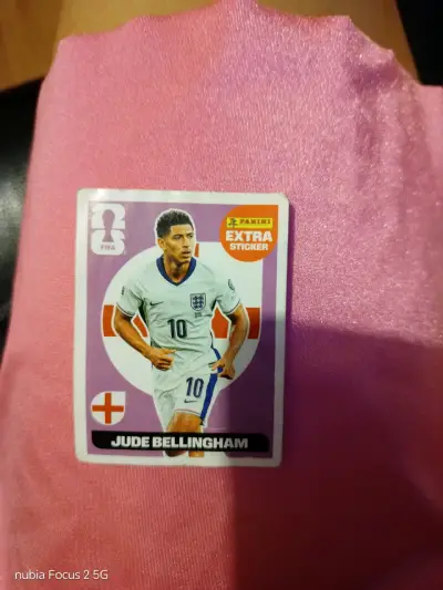 Lámina Panini Mundial FIFA - miniatura 1
