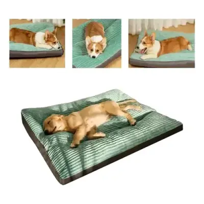 Cama acolchada para perros - miniatura 1