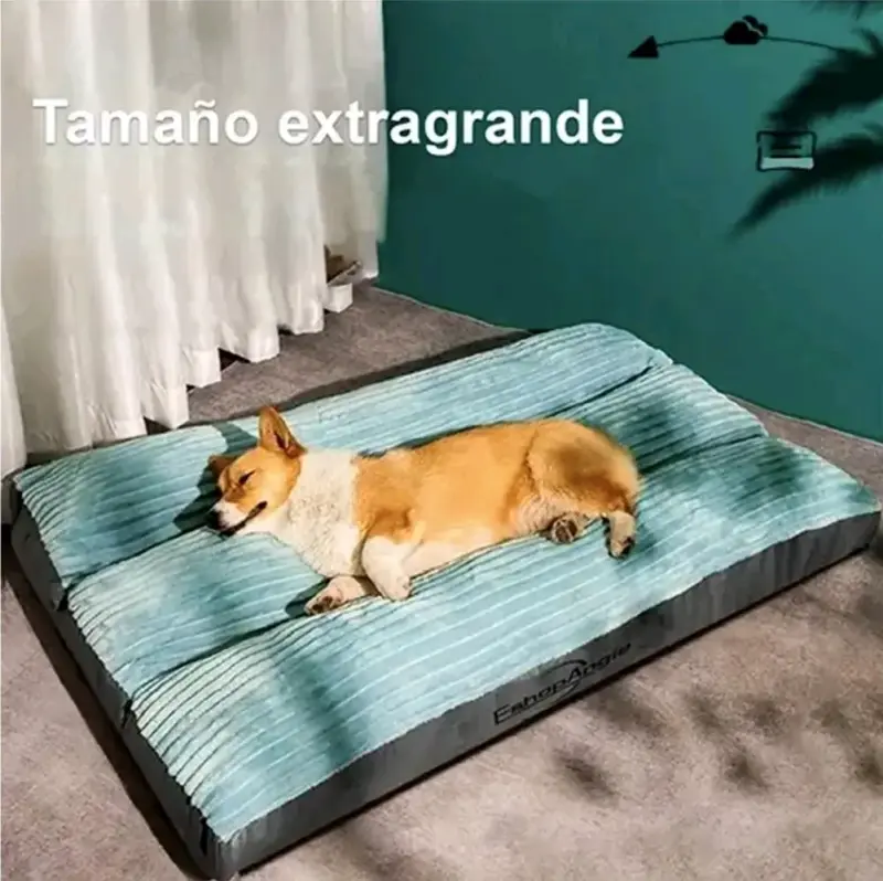 Cama acolchada para perros - 5
