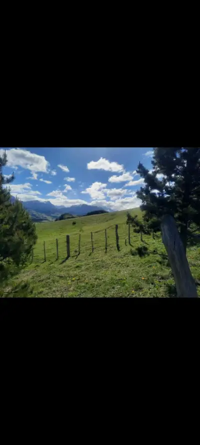 PARCELA 1 HECTAREA PATAGONIA EN VENTA 50 MILLONES - miniatura 4