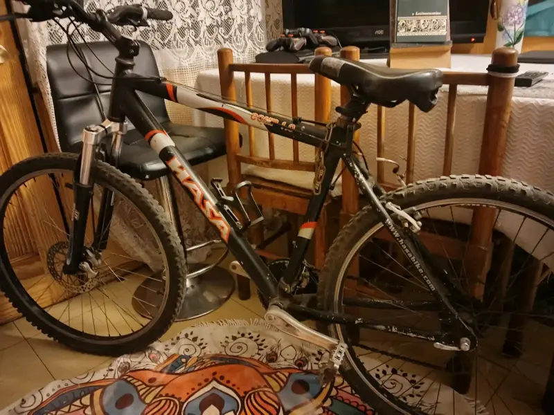 Bicicleta montaña Hasa negra - 2