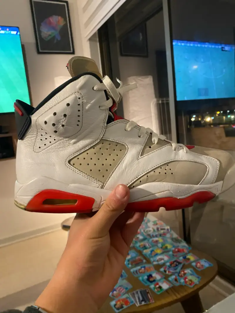 Zapatillas jordan 6 are - 1