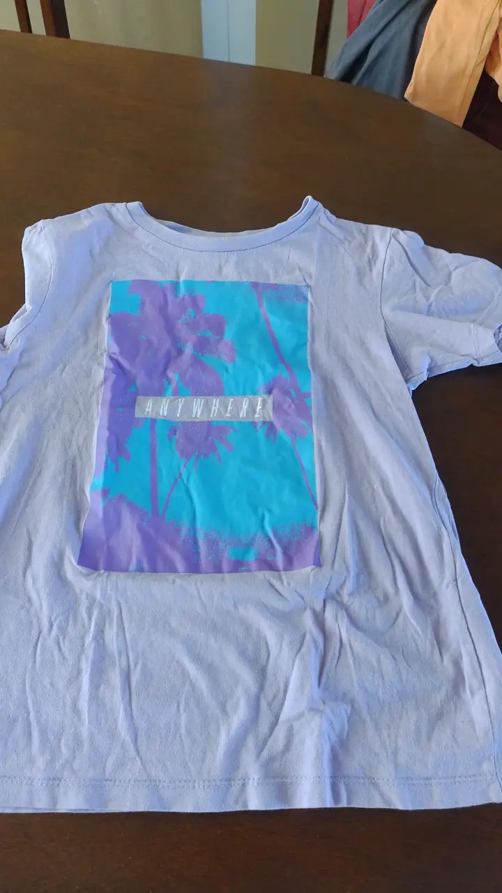 Lote de poleras - 5