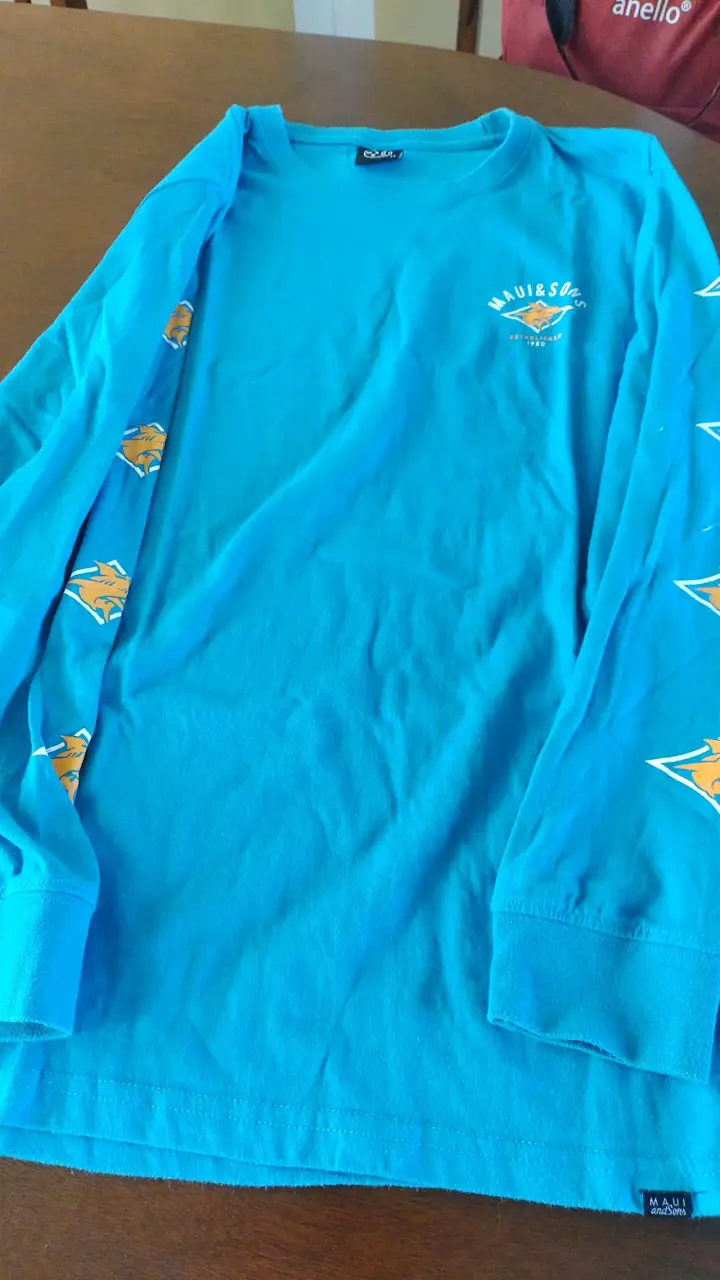 Lote de poleras - 6