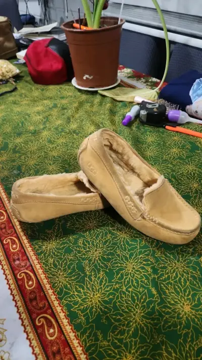 Pantuflas beige con forro UGG Original - miniatura 1