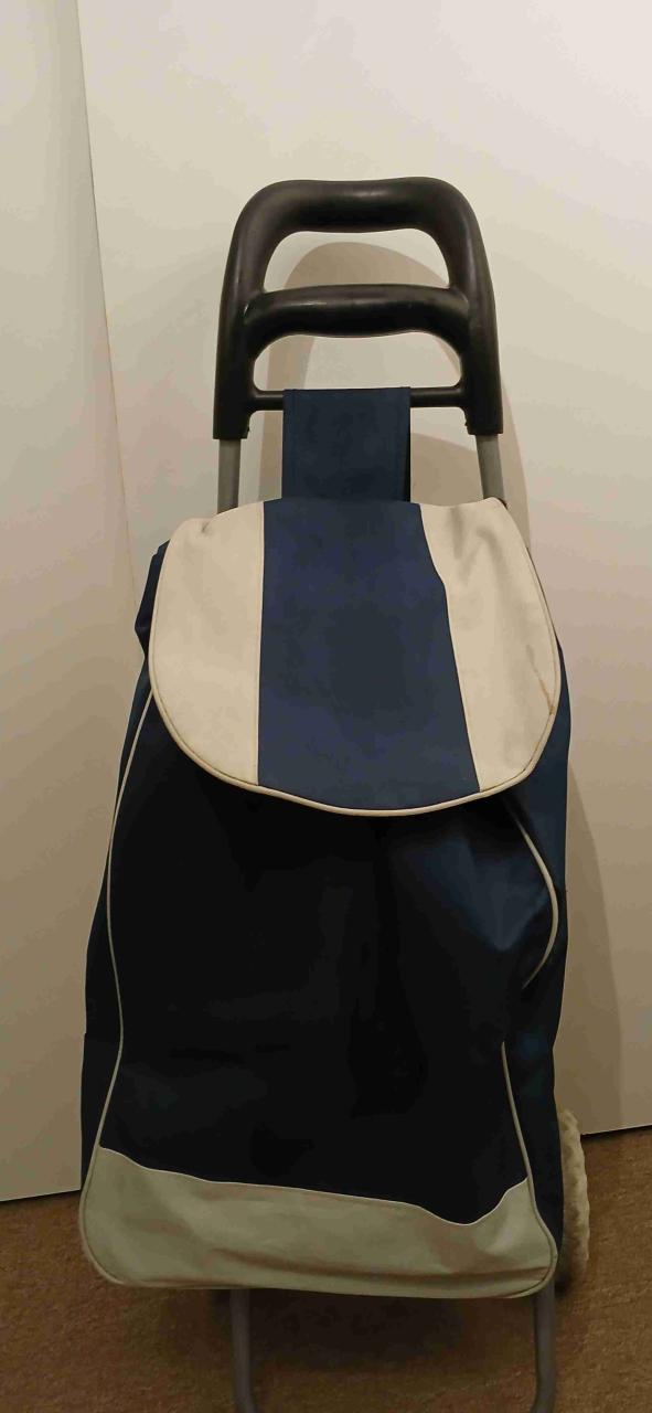 Carro de compras azul con ruedas - 1