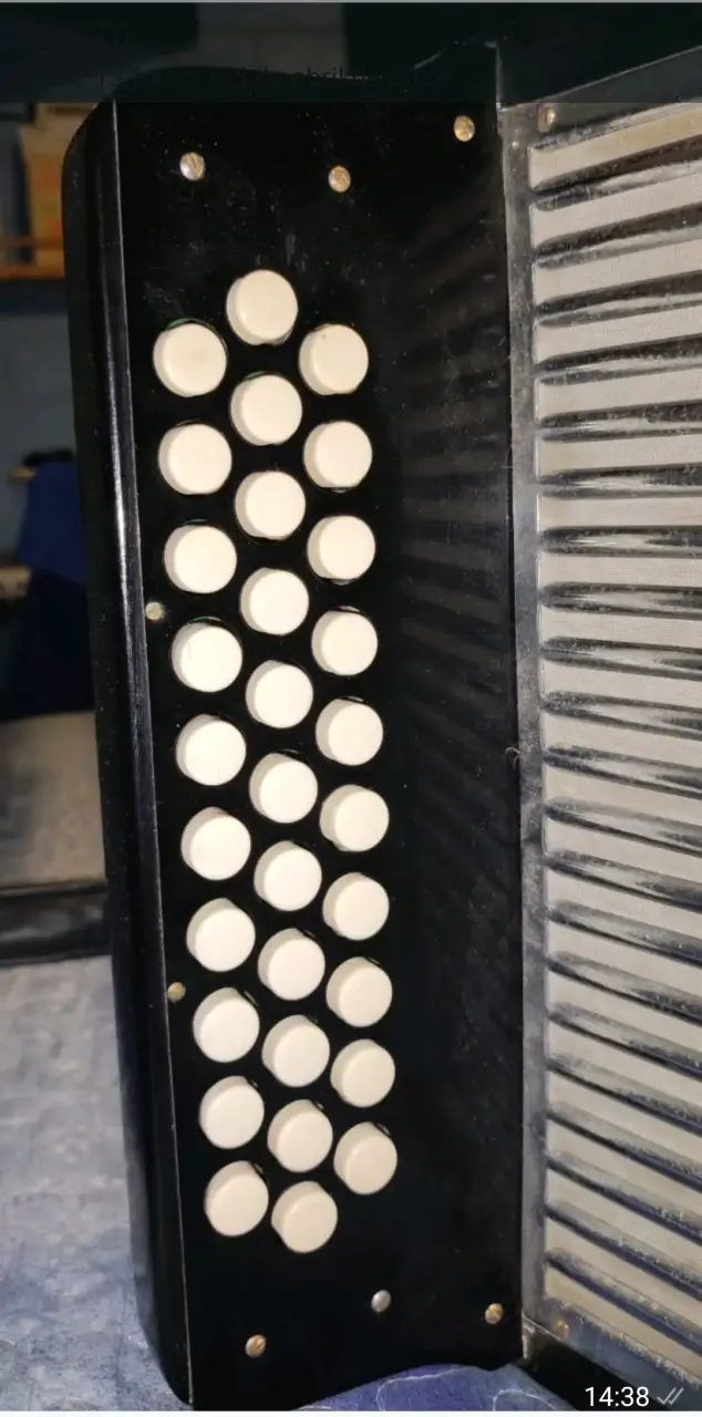 Acordeón Hohner negro - 5