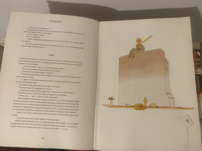 Libro El Principito edición especial - 5