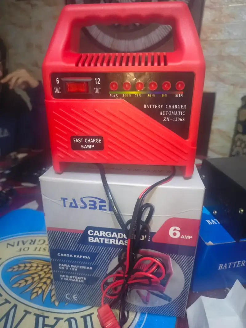 Cargador de baterías 6 AMP - 5