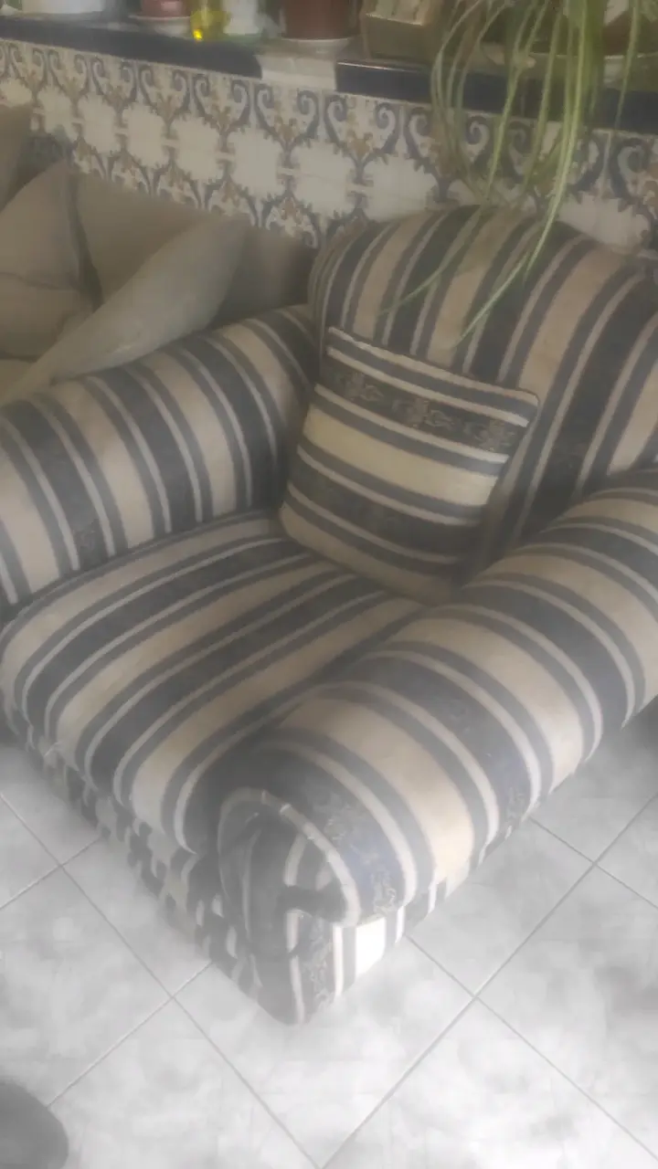 Sofá rayado azul y beige - 4