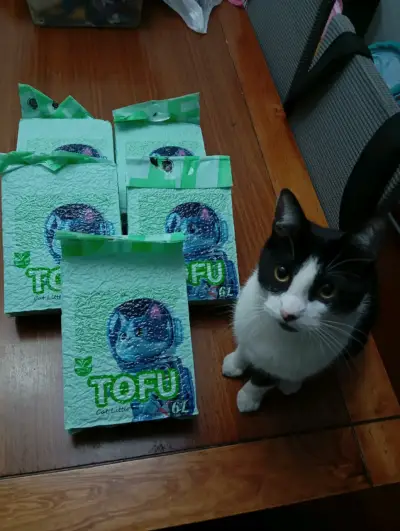 Arena para gatos Tofu - miniatura 1